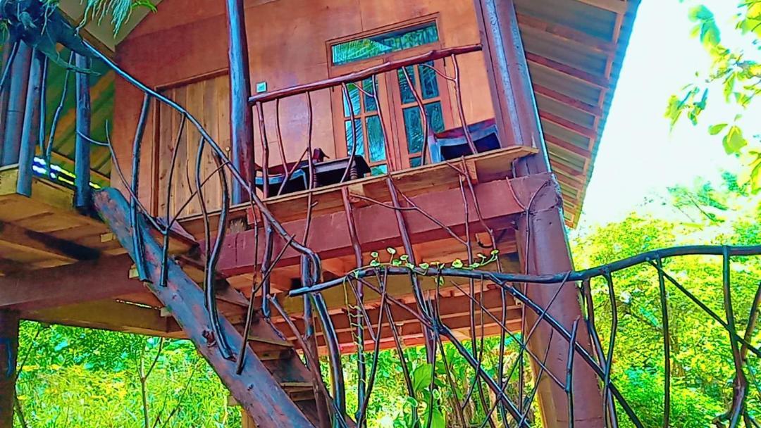 Sigiri Aliya Tree House Hotel Sigiriya Exterior photo