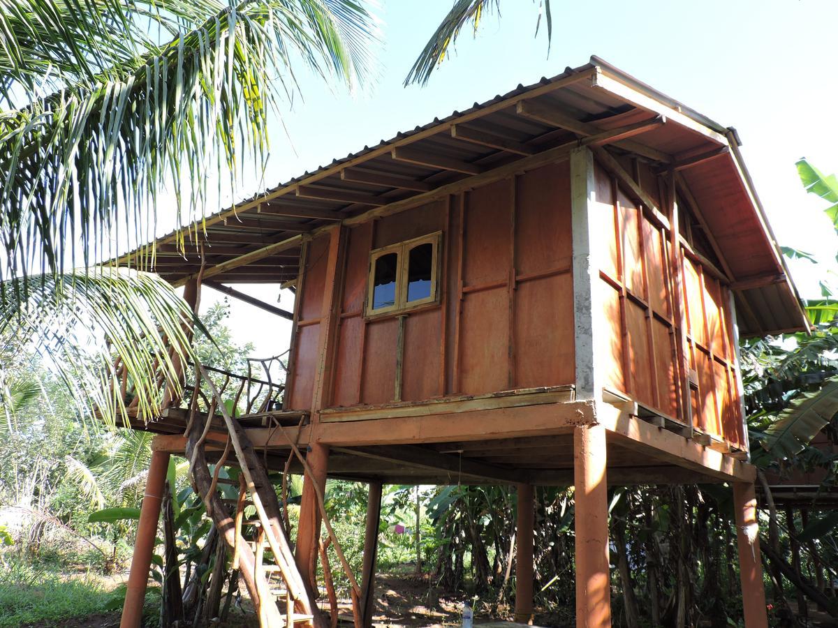 Sigiri Aliya Tree House Hotel Sigiriya Exterior photo