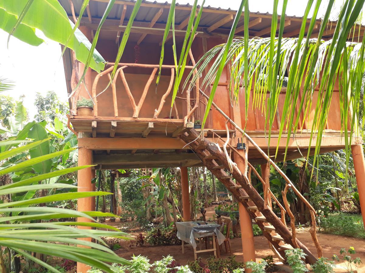 Sigiri Aliya Tree House Hotel Sigiriya Exterior photo