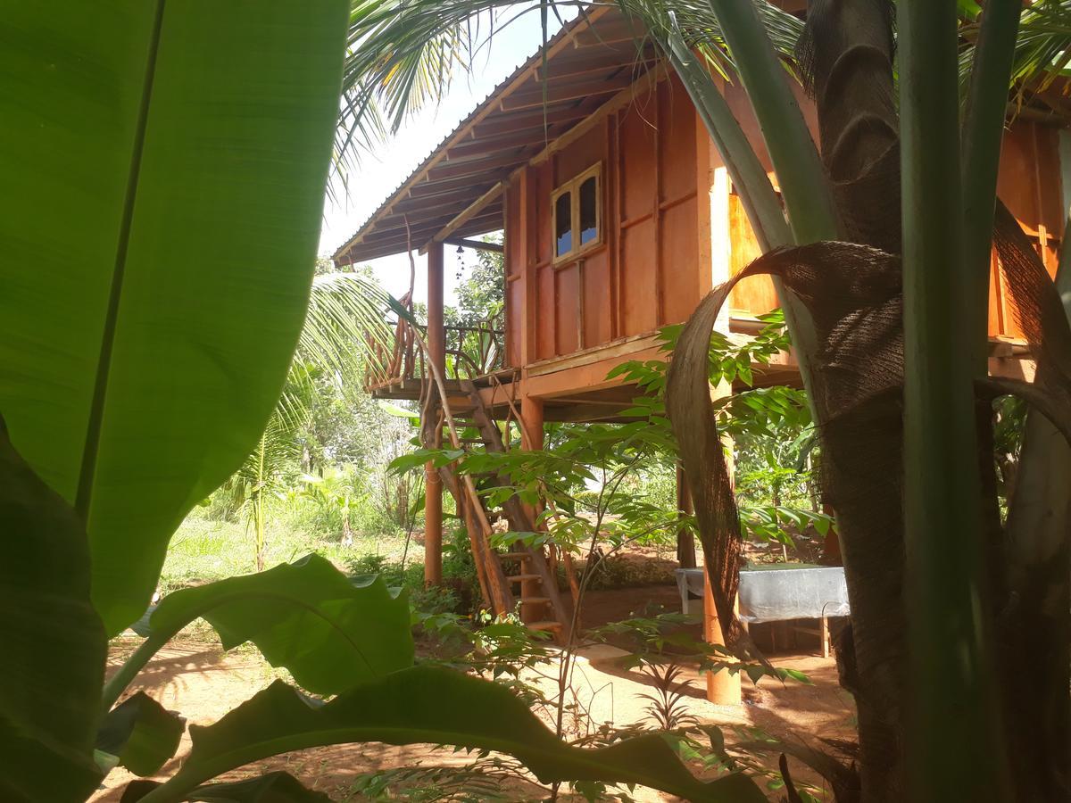 Sigiri Aliya Tree House Hotel Sigiriya Exterior photo