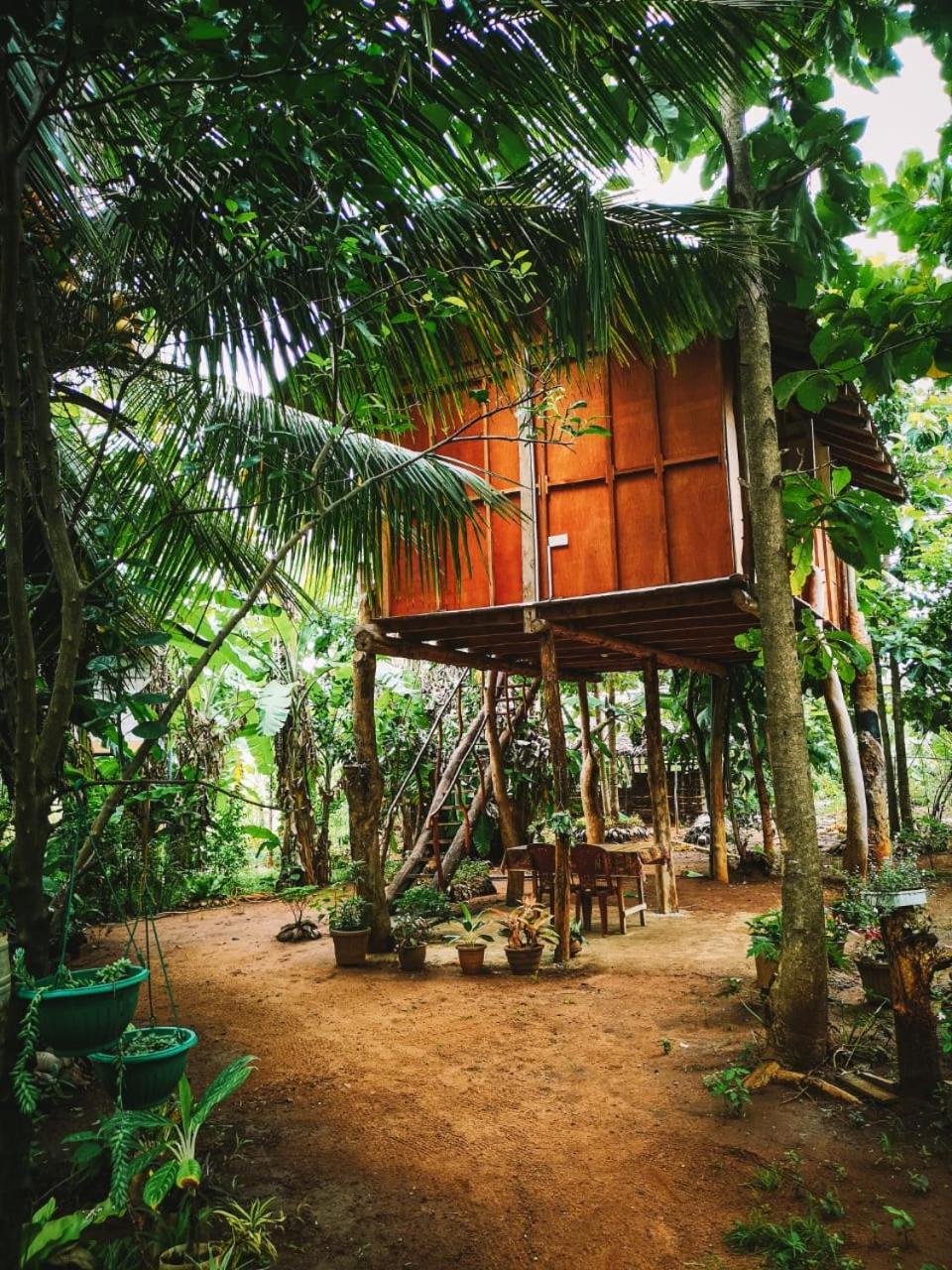 Sigiri Aliya Tree House Hotel Sigiriya Exterior photo